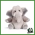 Elefante Maurizio