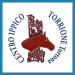 LogoTorrione